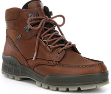 Load image into Gallery viewer, Ecco Menâ Track 25 High Top Waterproof Hiking Boot